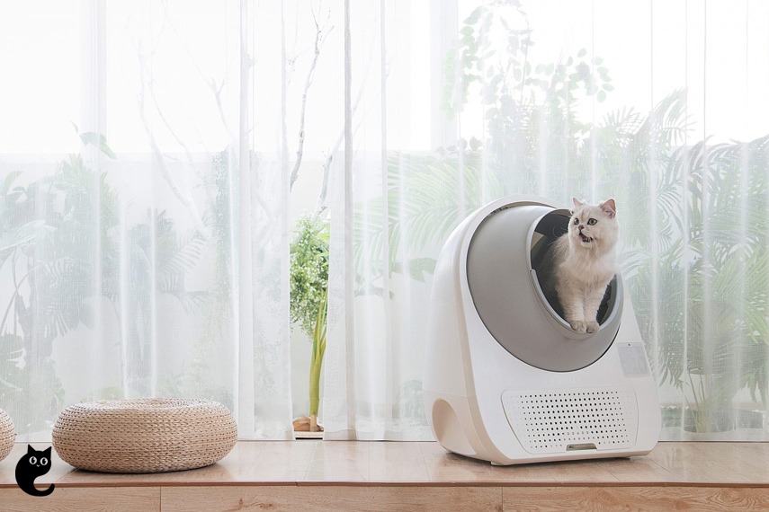 Catlink Young Automatic Cat Litter Box: Here’s Why We Love It